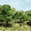 JTT 92141 - Super Scenic Trees: Orange Trees 2.5 - 3.5" - 6pcs - Multi Scale -Woodland Scenics Sale 0592141 2T 89370.1680931027