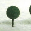JTT 94331 - Professional Trees: Micro-Tree Dark Green " - 30pcs - Multi Scale -Woodland Scenics Sale 0594331 2T 25838.1680930832
