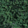 JTT 95254 - Turf: Blended Dark Coarse - Bag - 20cu In - Multi Scale -Woodland Scenics Sale 0595254 2T 65919.1680929646