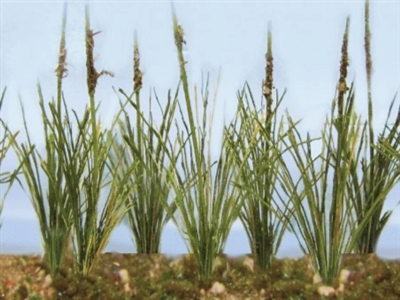 JTT 95633 - Cattails: Dried 24/pk - 3/4" - HO Scale 3 JTT 95633 - Cattails: Dried 24/pk - 3/4" - HO Scale