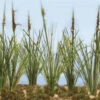 JTT 95634 - Cattails: Dried 24/pk - 1.5" - O Scale -Woodland Scenics Sale 0595634 2T 88175.1680927084