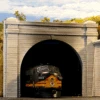 Chooch #8330 - Double Concrete Tunnel Portal - HO Scale -Woodland Scenics Sale CHO8330a 95431.1671410932