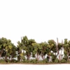 Woodland Scenics Woodland Classics #3581 - Hedgerow 1" X 2-3/8" X 7-3/4" -Woodland Scenics Sale TR3581 f 1 61609.1645224815