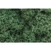 Woodland Scenics 162 - Light Green Lichen -Woodland Scenics Sale WOO162 42457.1645224733