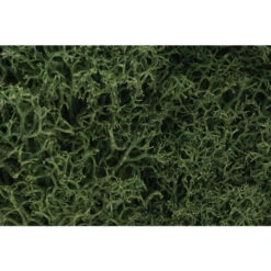 Woodland Scenics 163 - Medium Green Lichen