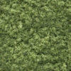 Woodland Scenics #51 - Foliage - Light Green -Woodland Scenics Sale Woodland Scenics Foliage Light Green 111230871167 44405.1645224852