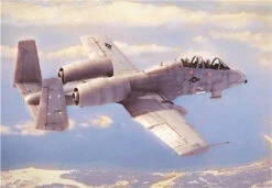 Hobby Boss 80324 - N/AW A-10A Thunderbolt II United States - 1:48 Scale Kit
