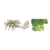 JTT 92019 - Sycamore Trees Kit 1.5"-3", 30pcs - N Scale 2 JTT 92019 - Sycamore Trees Kit 1.5"-3", 30pcs - N Scale -Woodland Scenics Sale jtt592019 48701.1671411271