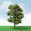 JTT 92207 - Pro-Elite Trees: European Plane 2 - 2.25" - 3pcs - N Scale