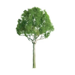 JTT 94252 - Professional Trees: Round Head 3" - 2pcs - Multi Scale