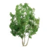 JTT 94257 - Professional Trees: Snow Gum 2.5" - 3pcs - Multi Scale -Woodland Scenics Sale jtt594257 04900.1671411290