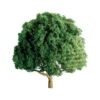 JTT 94264 - Professional Trees: Oak 3" - 2pcs - Multi Scale -Woodland Scenics Sale jtt594260 20195.1671411290