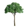 JTT 94284 - Professional Trees: Green Jacaranda 1" - 6pcs - Multi Scale 1 JTT 94284 - Professional Trees: Green Jacaranda 1" - 6pcs - Multi Scale -Woodland Scenics Sale jtt594283 88047.1671411291