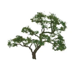 JTT 94429 - Professional Trees: Beech 1.5" - 4pcs - Multi Scale