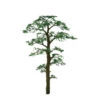 JTT 94432 - Professional Trees: Scots Pine 1" - 6pcs - Multi Scale 1 JTT 94432 - Professional Trees: Scots Pine 1" - 6pcs - Multi Scale -Woodland Scenics Sale jtt594432 98101.1671411298