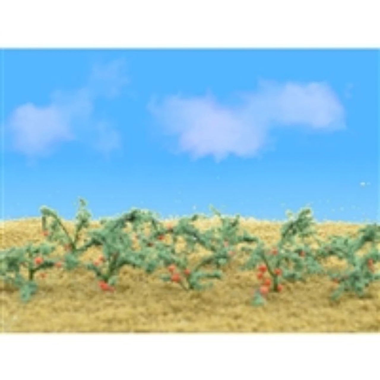 JTT 95525 - Tomatoes: 18/pk - 3/4in - HO Scale 3 JTT 95525 - Tomatoes: 18/pk - 3/4in - HO Scale