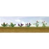 JTT 95558 - Flower Plants Assortment: #1 - 10/pk - O Scale -Woodland Scenics Sale jtt595558 56524.1671411317