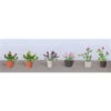 JTT 95565 - Flower Plants Potted Assortment: #1 - 6/pk - HO Scale -Woodland Scenics Sale jtt595565 53432.1671411317