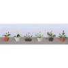 JTT 95569 - Flower Plants Potted Assortment: #3 - 6/pk - HO Scale -Woodland Scenics Sale jtt595569 27810.1671411319