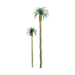 JTT 96009 - Professional Trees: Palm 9" - 1pcs - O Scale