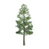 JTT 96103 - Professional Trees: Pine 12" - 1pcs - G Scale -Woodland Scenics Sale jtt596103 17249.1671411330