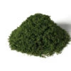 Woodland Scenics G6450 - All Game Terrain - Weeds - Summmer Green -Woodland Scenics Sale woo785 6450 63464.1679418681