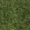 Woodland Scenics G6493 - All Game Terrain - Super Foliage - Light Green 2 Woodland Scenics G6493 - All Game Terrain - Super Foliage - Light Green -Woodland Scenics Sale woo785 6493 34515.1679418712