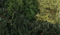 Woodland Scenics G6501 - All Game Terrain - EZ Bushes - Summer Mix