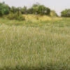 Woodland Scenics G6571 - All Game Terrain - Static Grass 5/32" 4mm Tall - Light Green -Woodland Scenics Sale woo785 6571 48363.1679418780