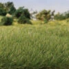 Woodland Scenics G6584 - All Game Terrain - Static Grass 9/32" 7mm Tall - Medium Green -Woodland Scenics Sale woo785 6584 68030.1679418789